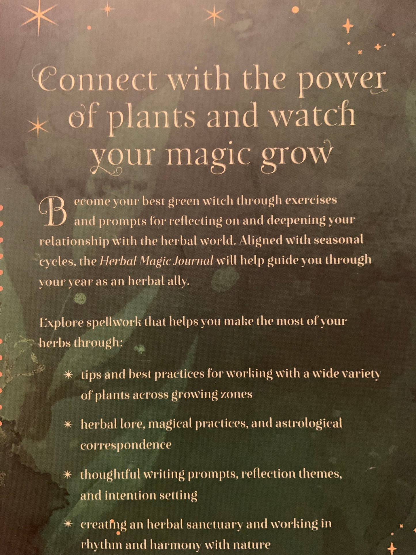 Herbal Magic Journal book