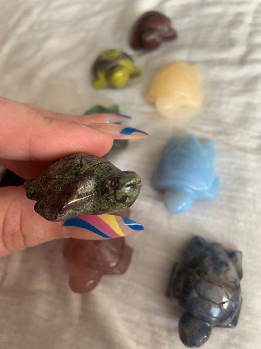 Intuitively Chosen Crystal Turtle